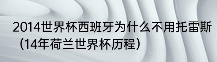 2014世界杯西班牙为什么不用托雷斯（14年荷兰世界杯历程）