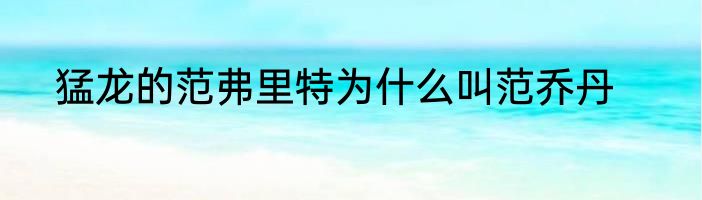 猛龙的范弗里特为什么叫范乔丹