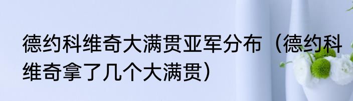 德约科维奇大满贯亚军分布（德约科维奇拿了几个大满贯）