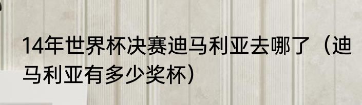 14年世界杯决赛迪马利亚去哪了（迪马利亚有多少奖杯）