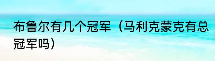布鲁尔有几个冠军（马利克蒙克有总冠军吗）