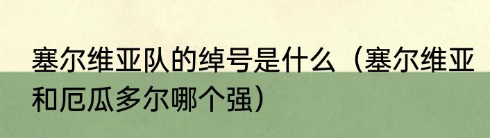 塞尔维亚队的绰号是什么（塞尔维亚和厄瓜多尔哪个强）