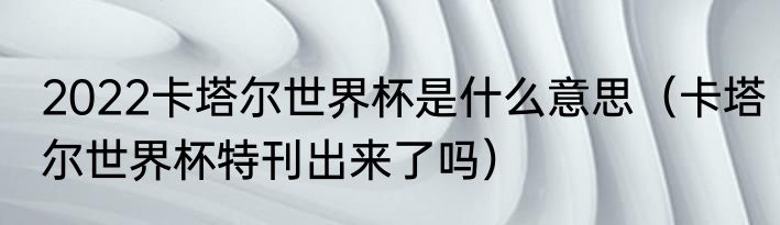 2022卡塔尔世界杯是什么意思（卡塔尔世界杯特刊出来了吗）