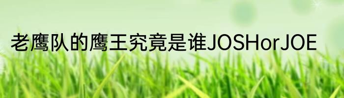 老鹰队的鹰王究竟是谁JOSHorJOE
