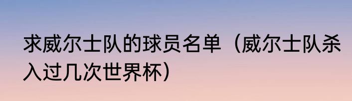 求威尔士队的球员名单（威尔士队杀入过几次世界杯）