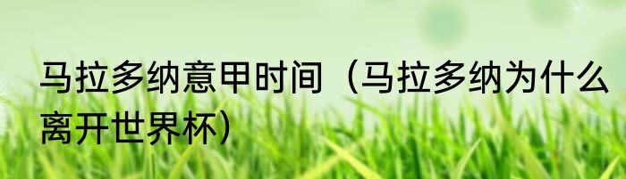 马拉多纳意甲时间（马拉多纳为什么离开世界杯）