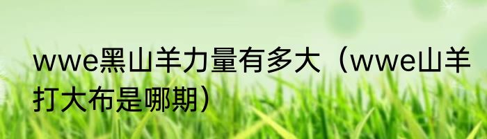 wwe黑山羊力量有多大（wwe山羊打大布是哪期）