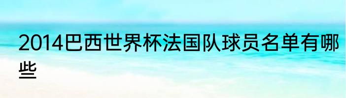 2014巴西世界杯法国队球员名单有哪些