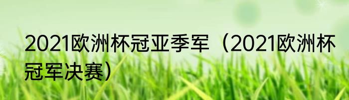 2021欧洲杯冠亚季军(2021欧洲杯冠军决赛)