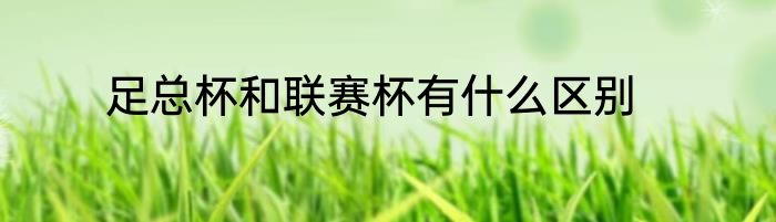 足总杯和联赛杯有什么区别