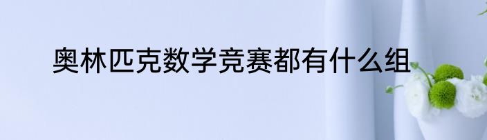 奥林匹克数学竞赛都有什么组