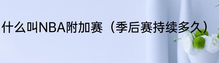 什么叫NBA附加赛（季后赛持续多久）