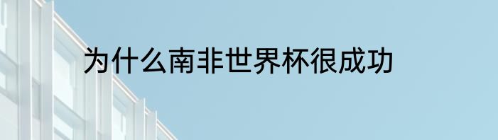为什么南非世界杯很成功