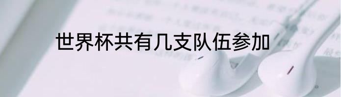 世界杯共有几支队伍参加