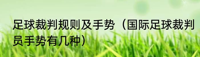足球裁判规则及手势（国际足球裁判员手势有几种）