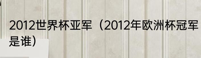 2012世界杯亚军（2012年欧洲杯冠军是谁）