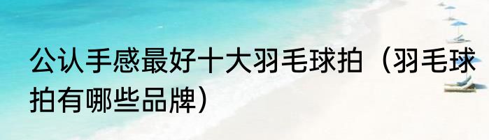 公认手感最好十大羽毛球拍（羽毛球拍有哪些品牌）