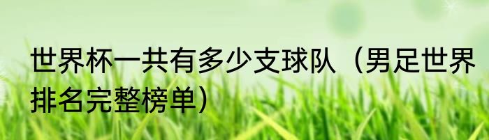 世界杯一共有多少支球队（男足世界排名完整榜单）