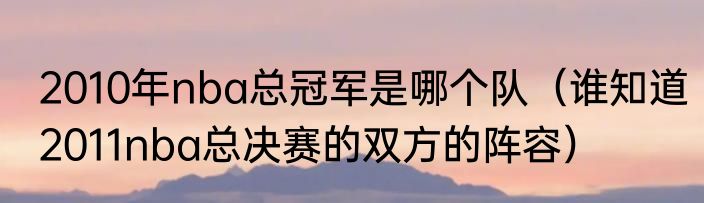 2010年nba总冠军是哪个队（谁知道2011nba总决赛的双方的阵容）