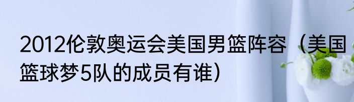 2012伦敦奥运会美国男篮阵容（美国篮球梦5队的成员有谁）