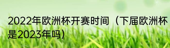 2022年欧洲杯开赛时间（下届欧洲杯是2023年吗）