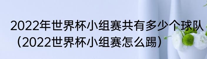 2022年世界杯小组赛共有多少个球队（2022世界杯小组赛怎么踢）