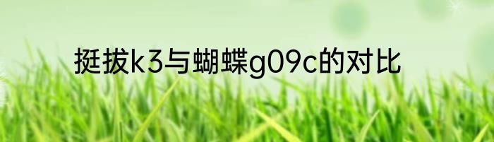 挺拔k3与蝴蝶g09c的对比