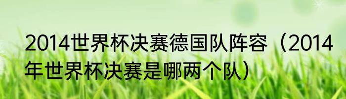2014世界杯决赛德国队阵容（2014年世界杯决赛是哪两个队）