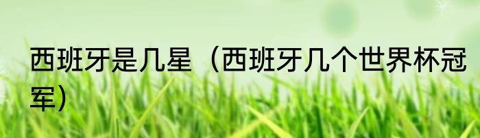 西班牙是几星（西班牙几个世界杯冠军）