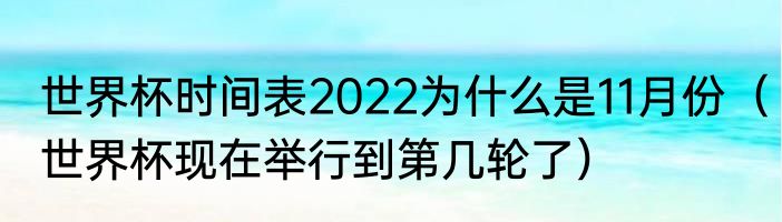 世界杯时间表2022为什么是11月份（世界杯现在举行到第几轮了）
