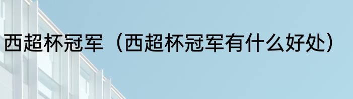 西超杯冠军（西超杯冠军有什么好处）