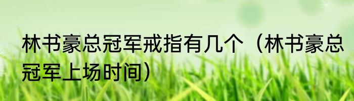 林书豪总冠军戒指有几个（林书豪总冠军上场时间）