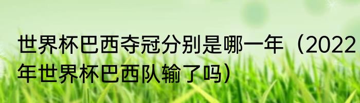 世界杯巴西夺冠分别是哪一年（2022年世界杯巴西队输了吗）