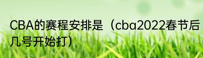 CBA的赛程安排是（cba2022春节后几号开始打）
