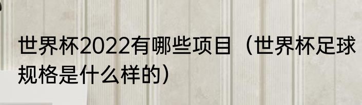世界杯2022有哪些项目（世界杯足球规格是什么样的）