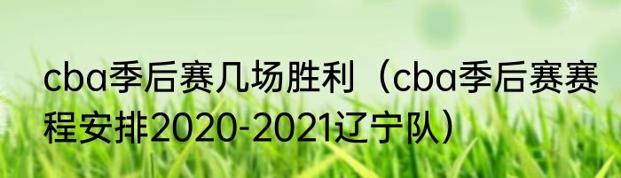 cba季后赛几场胜利（cba季后赛赛程安排2020-2021辽宁队）
