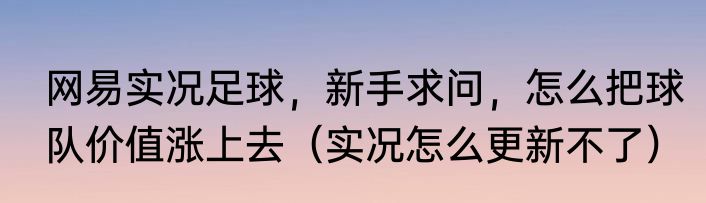 网易实况足球，新手求问，怎么把球队价值涨上去（实况怎么更新不了）