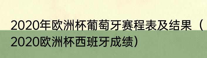 2020年欧洲杯葡萄牙赛程表及结果（2020欧洲杯西班牙成绩）