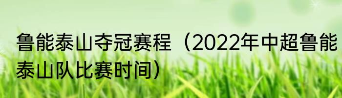 鲁能泰山夺冠赛程（2022年中超鲁能泰山队比赛时间）
