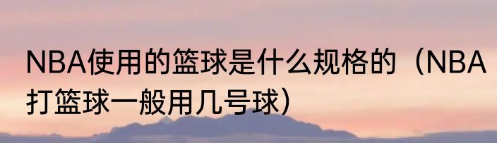 NBA使用的篮球是什么规格的（NBA打篮球一般用几号球）
