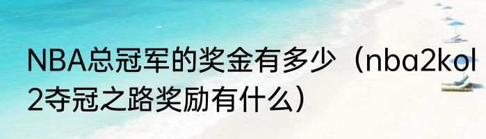 NBA总冠军的奖金有多少（nba2kol2夺冠之路奖励有什么）