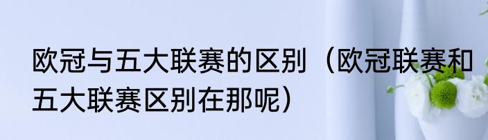 欧冠与五大联赛的区别（欧冠联赛和五大联赛区别在那呢）