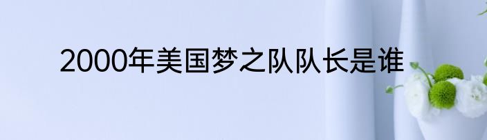 2000年美国梦之队队长是谁