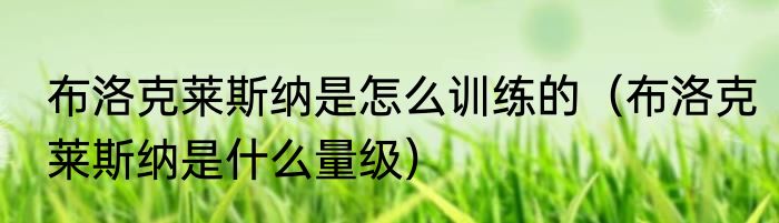 布洛克莱斯纳是怎么训练的（布洛克莱斯纳是什么量级）