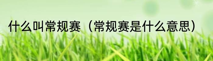 什么叫常规赛（常规赛是什么意思）
