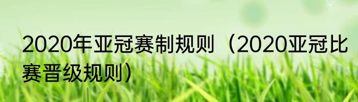 2020年亚冠赛制规则（2020亚冠比赛晋级规则）
