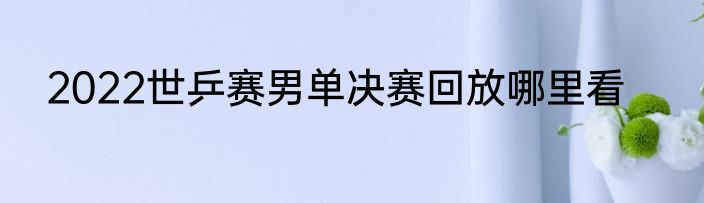 2022世乒赛男单决赛回放哪里看