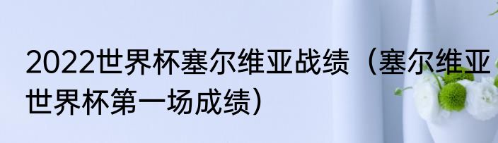2022世界杯塞尔维亚战绩（塞尔维亚世界杯第一场成绩）