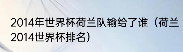 2014年世界杯荷兰队输给了谁（荷兰2014世界杯排名）