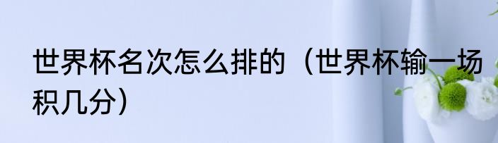 世界杯名次怎么排的（世界杯输一场积几分）